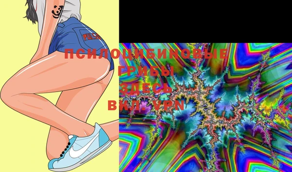 mix Слюдянка
